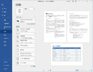 書式設定の画面例